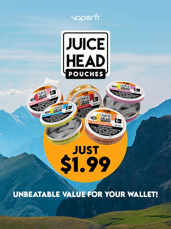 VaporFi pouches email banner 2024